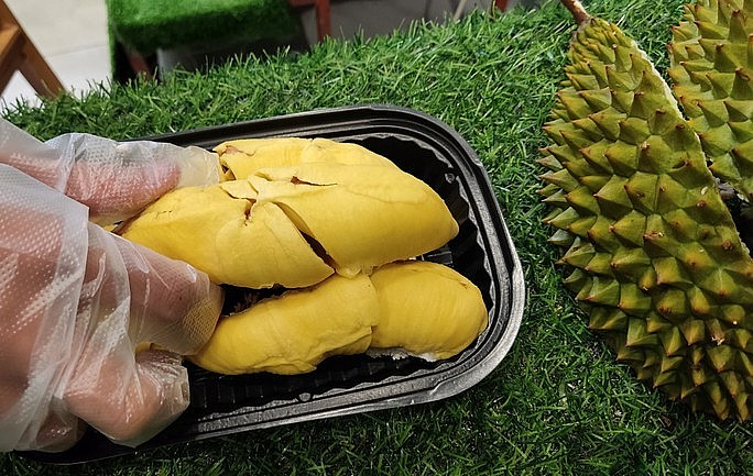 Sầu riêng Musang King có cỡ trái nhỏ nên các múi cũng nhỏ