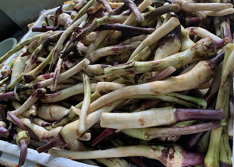 Cục Quản lý thị trường Phú Thọ