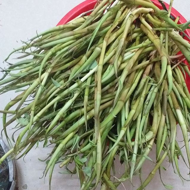 Cục Quản lý thị trường Phú Thọ