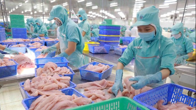 EU thay đổi mẫu Giấy chứng nhận kiểm dịch động vật dưới nước