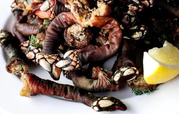 Hà ngỗng có giá xa xỉ Hà ngỗng có giá xa xỉ