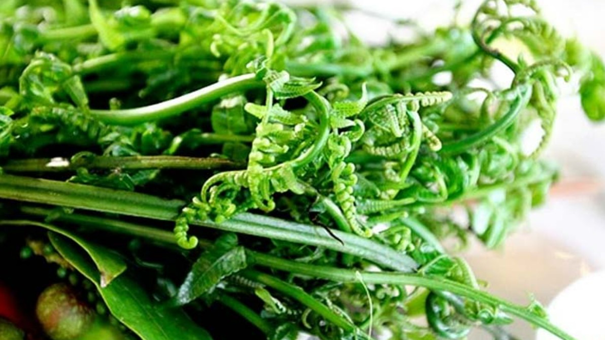 Rau dớn - món ăn dân giã với vô vàn dưỡng chất