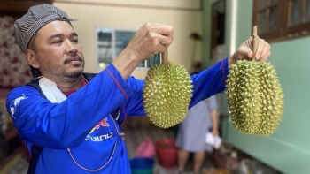 Trung Quốc thu hoạch hàng nghìn tấn sầu riêng, Việt Nam và Thái Lan sẽ chịu tác động nhiều nhất