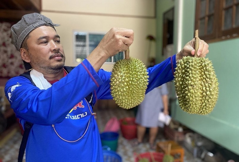 Một nông dân tại tỉnh Uttaradit (miền Bắc Thái Lan) đang kiểm tra sầu riêng sau khi thu hoạch. Một nông dân tại tỉnh Uttaradit (miền Bắc Thái Lan) đang kiểm tra sầu riêng sau khi thu hoạch.