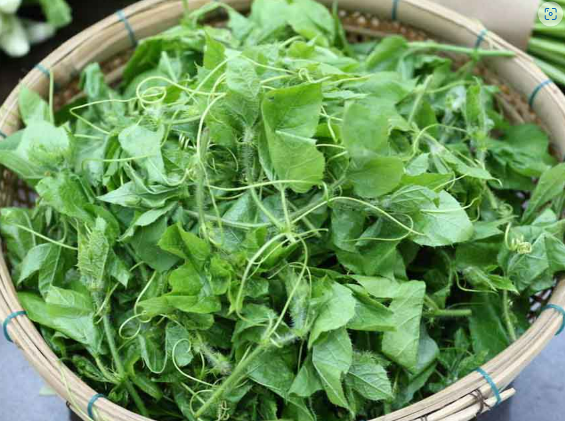 Tác dụng của cây chùm bao