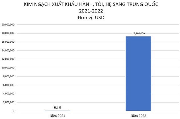 Xuất khẩu nhóm mặt hàng hành, tỏi sang Trung Quốc năm 2022 tăng đột biến 19.935%.