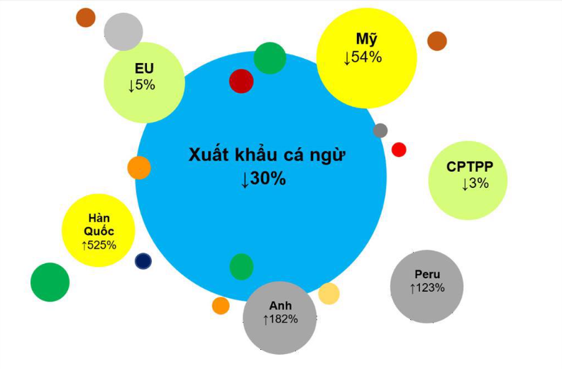 Xuất khẩu cá ngừ tăng đột phá tại các thị trường nhỏ