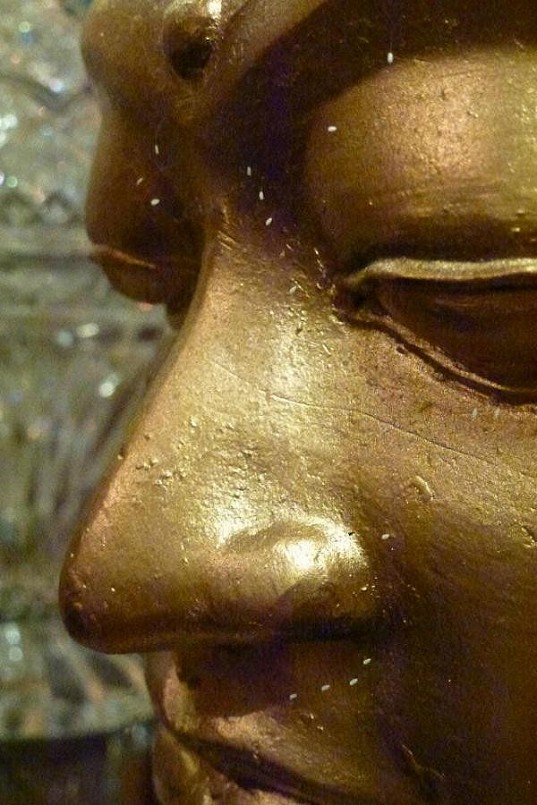 Chiêm ngưỡng loài hoa linh thiêng được mệnh danh “Hoa của Phật”, 3000 năm mới nở 1 lần