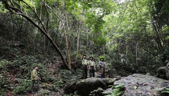 Bắc Giang: Nâng cao cảnh giác trước nguy cơ cháy rừng ở cấp cực kỳ nguy hiểm