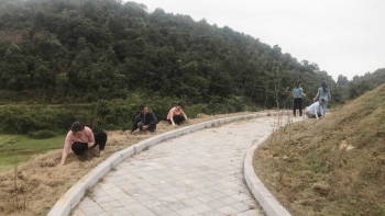 Phát động trồng cây “Vì Cái Chiên xanh, thân thiện với môi trường”