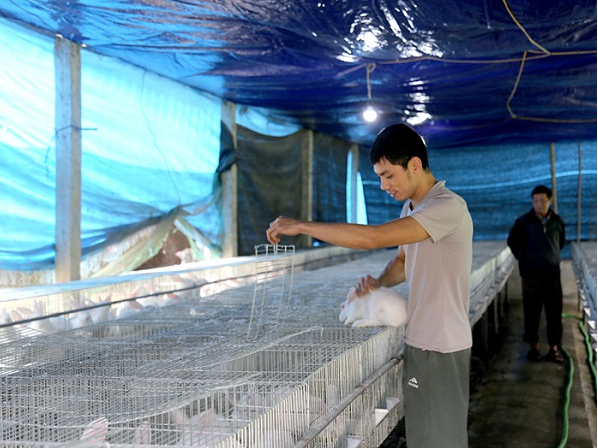 Anh Nguyễn Xuân Hòa với mô hình nuôi thỏ thương phẩm. Ảnh: Hoan Nguyễn Anh Nguyễn Xuân Hòa với mô hình nuôi thỏ thương phẩm. Ảnh: Hoan Nguyễn
