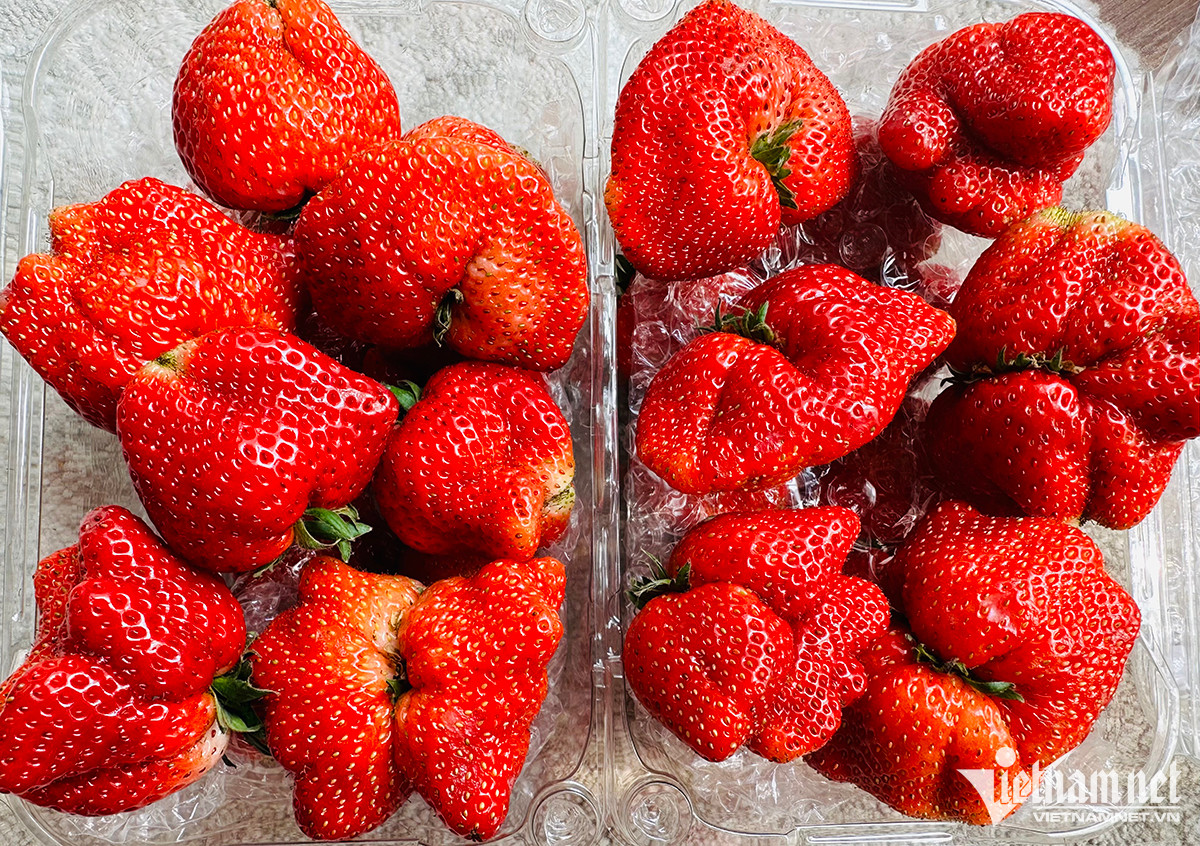 Dâu tây ồ ạt xuống phố, giá rẻ chưa từng có