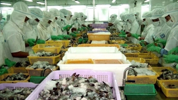 Xuất khẩu thủy sản 2 tháng đầu năm 2023 sụt giảm mạnh