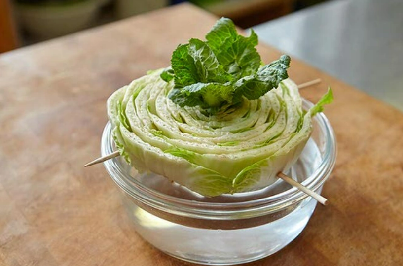 Những loại rau bẹ xanh cắm gốc trong bình nước sẽ có rau ăn quanh năm