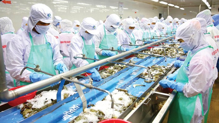 Xuất khẩu tôm kỳ vọng khởi sắc sau Hội chợ Thủy sản Bắc Mỹ