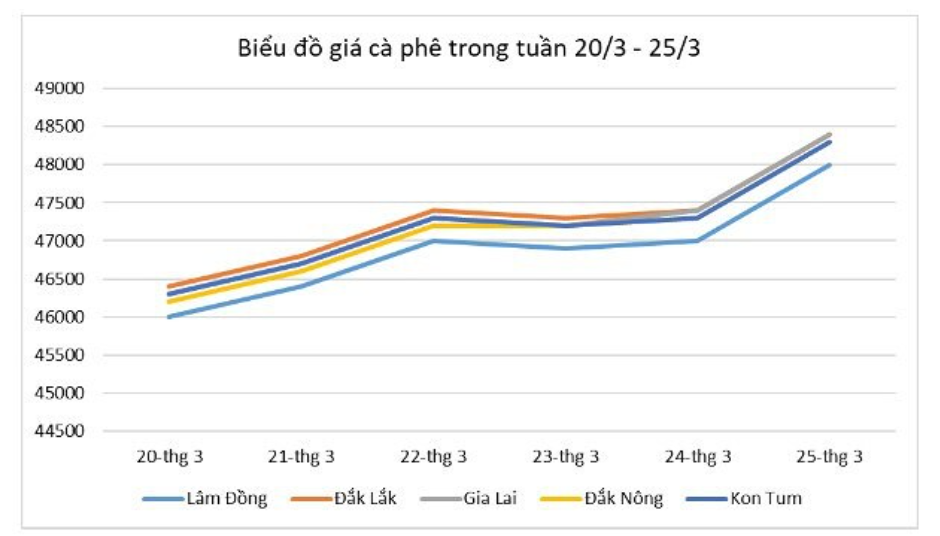 Giá nông sản hôm nay (26/3) diễn biến giá cà phê trong nước tuần qua.