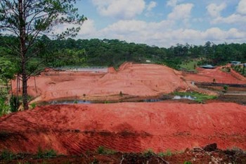 Lâm Đồng: Mất rừng tại Dự án do Công ty TNHH Thủy điện và du lịch sinh thái Thác Rồng làm chủ đầu tư