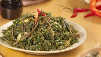 "Rau trường thọ" mọc dại, nấu món gì sẽ ngon?
