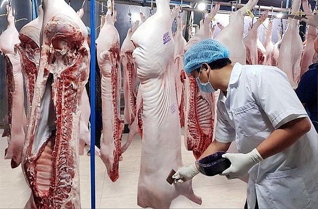 Giá heo hơi hôm nay (27/3) thấp nhất 48.000 đồng/kg, bán heo chịu lỗ, người chăn nuôi lâm vào bước đường cùng