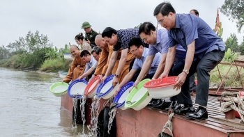 Thanh Hóa: Thả cá giống tái tạo và phát triển nguồn lợi thủy sản