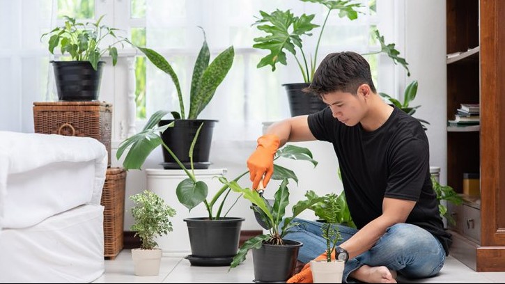 3 thứ “đen thui” này, không phải ai cũng biết chúng là trợ thủ đắc lực trong việc trồng hoa