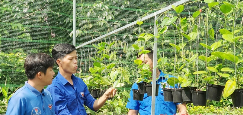 Anh Đỗ Văn Phúc giới thiệu về mô hình khởi nghiệp từ hoa cẩm cù với cán bộ Huyện đoàn Bù Gia Mập Anh Đỗ Văn Phúc giới thiệu về mô hình khởi nghiệp từ hoa cẩm cù với cán bộ Huyện đoàn Bù Gia Mập