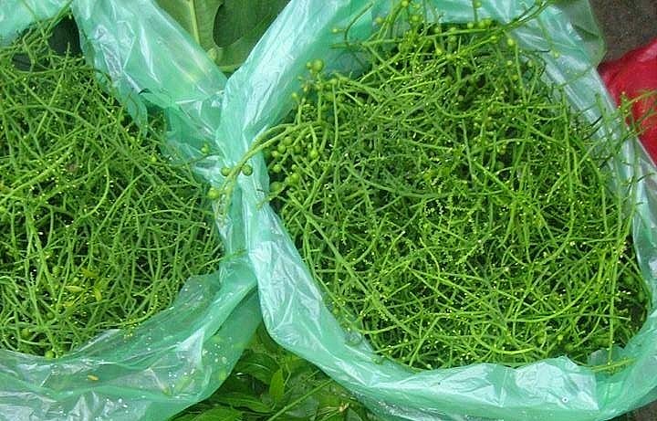 1kg hoa rau ngót rừng có giá dao động từ 150.000-250.000 đồng/kg