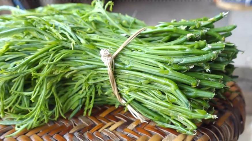 Rau Thối nghe tên đã không dám ngửi, nhưng được nhiều người săn lùng