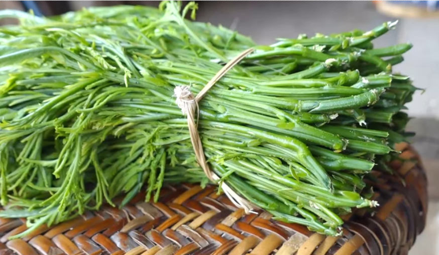 Rau Thối nghe tên đã không dám ngửi, nhưng được nhiều người săn lùng