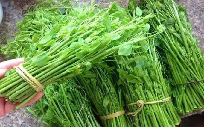 Rau Thối nghe tên đã không dám ngửi, nhưng được nhiều người săn lùng