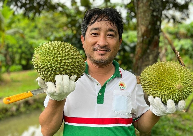 Ông Khương thu mua sầu riêng tại nhà vườn ở miền Tây. Ảnh: Mạnh Khương