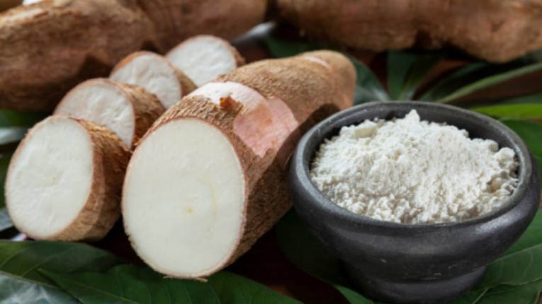 Xuất khẩu sắn lát tăng trưởng tốt