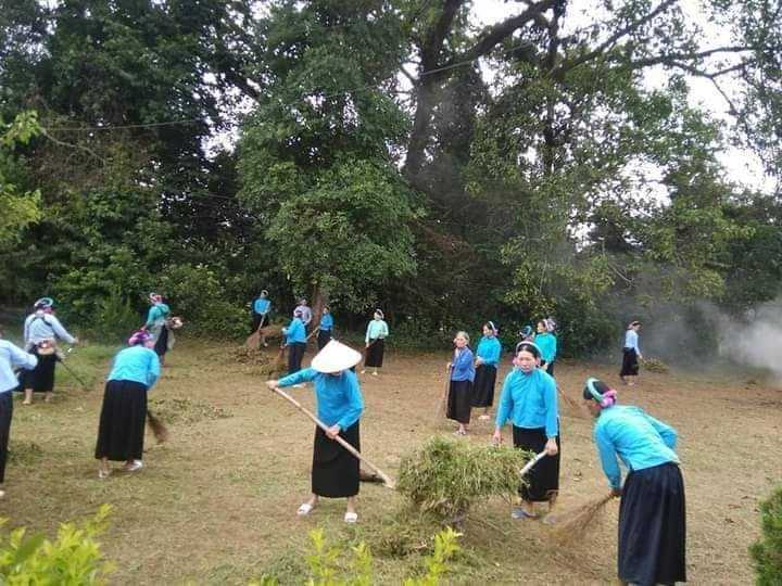 Bài viết chi tiết