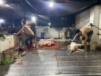 Thị xã Quảng Yên (Quảng Ninh): Tìm giải pháp xây dựng khu giết mổ tập trung