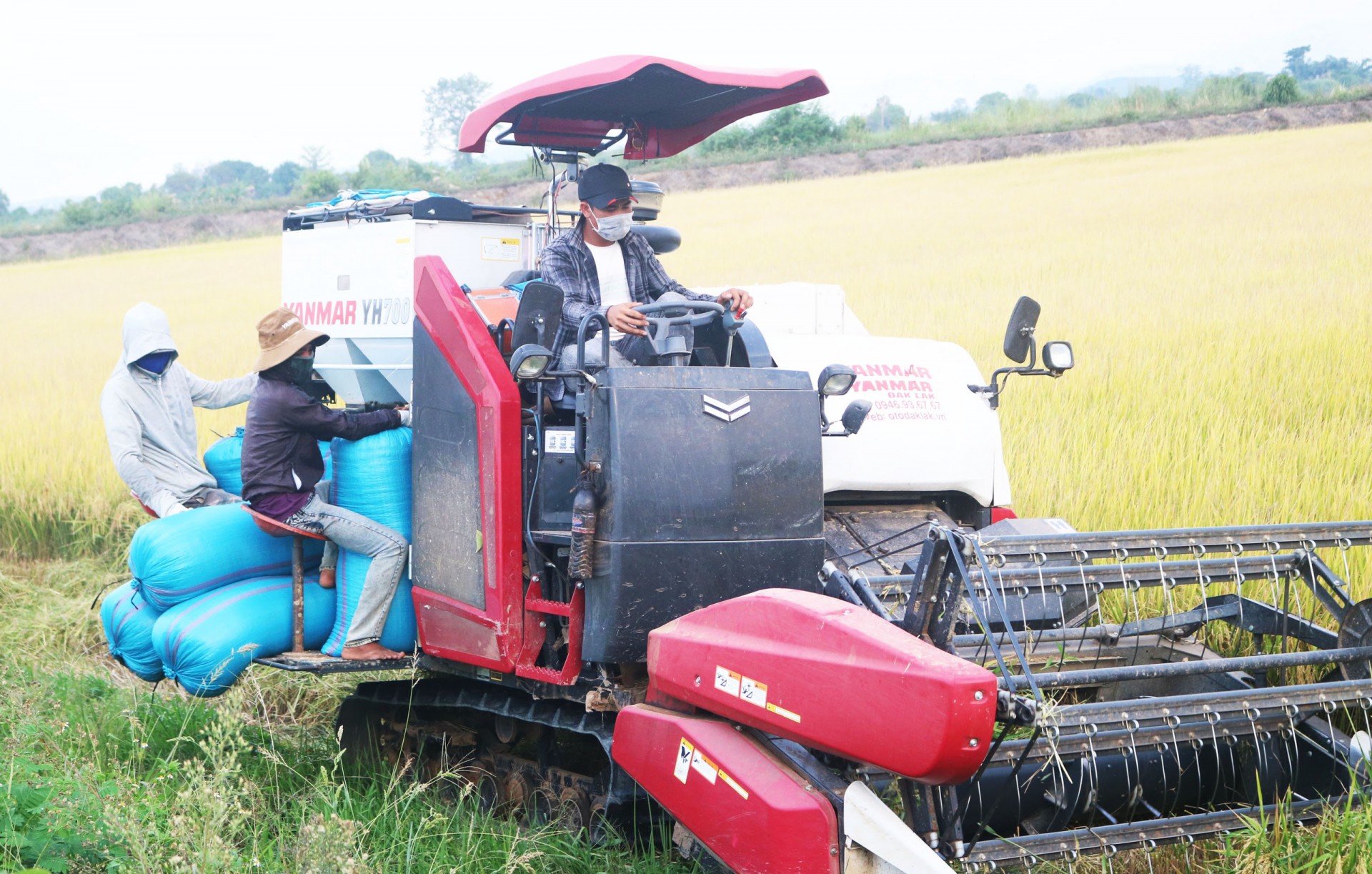 Chủ tịch UBND tỉnh Đắk Nông: Mỗi nhà báo là một tuyên truyền viên giúp Đắk Nông xúc tiến đầu tư hiệu quả Chủ tịch UBND tỉnh Đắk Nông: Mỗi nhà báo là một tuyên truyền viên giúp Đắk Nông xúc tiến đầu tư hiệu quả