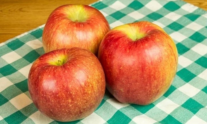 Theo tiếng Nhật, Sekai Ichi có nghĩa là