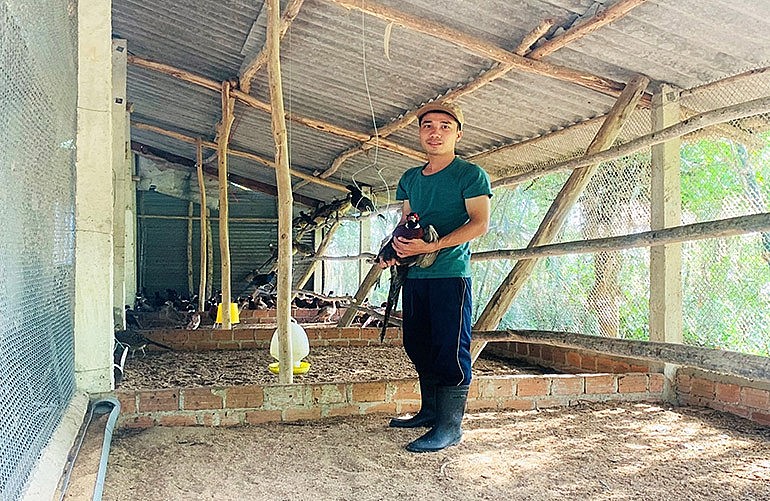 Anh Lợi bên mô hình nuôi chim trĩ của gia đình