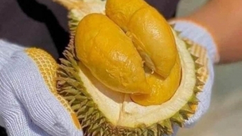 Thái Lan tiếp tục khẳng định vị thế khi vừa ký kết đơn hàng xuất khẩu sầu riêng khủng sang Trung Quốc