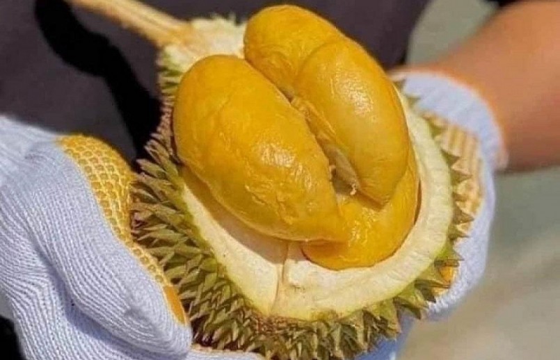 Thái Lan luôn trú trọng nâng cao chất lượng sầu riêng.