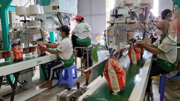 Bộ Công Thương khuyến nghị đối với thương nhân kinh doanh xuất khẩu gạo