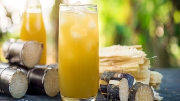 Thức uống mùa hè được gọi là "thang thuốc phục mạch", uống vào tốt cho thận lại đẹp cho da