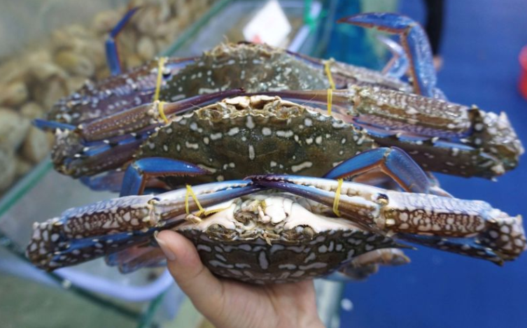 Mua cua ghẹ chỉ nhìn vào 5 điểm, con nào cũng béo múp, nhiều gạch, không lo bị ọp phí tiền