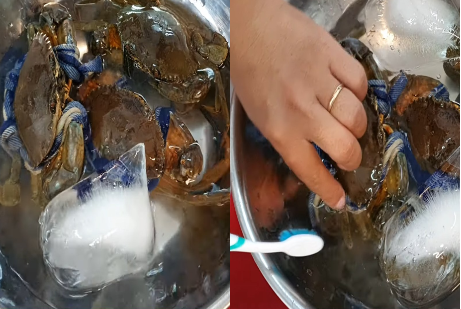 Mua cua ghẹ chỉ nhìn vào 5 điểm, con nào cũng béo múp, nhiều gạch, không lo bị ọp phí tiền