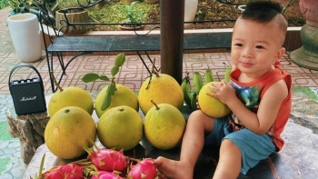 Biến 1.000m2 đất vàng thủ đô thành khu vườn ngồn ngộn hoa trái, ai vào cũng chẳng muốn về