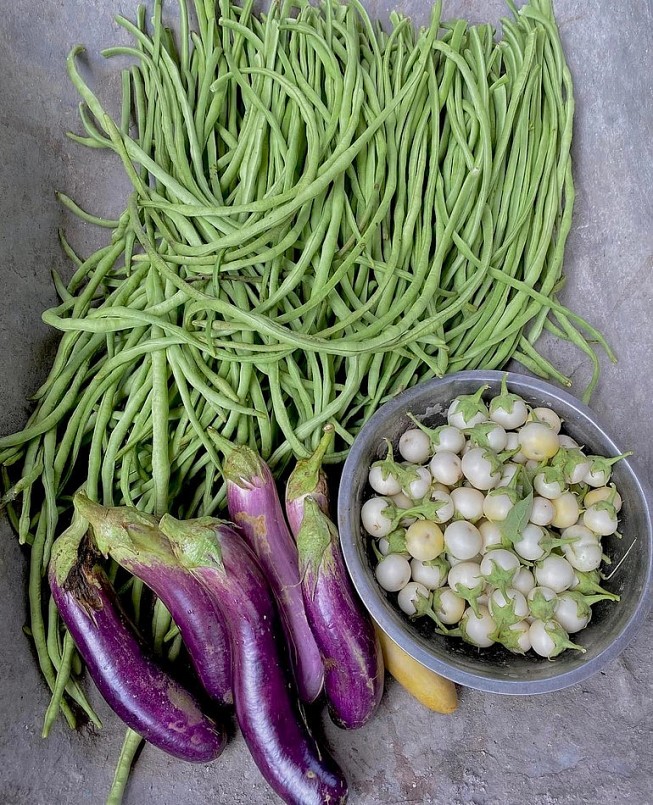 Bên cạnh rau tươi, trong vườn còn có rất nhiều loại quả ngọt, đến mùa nào là có quả nấy.