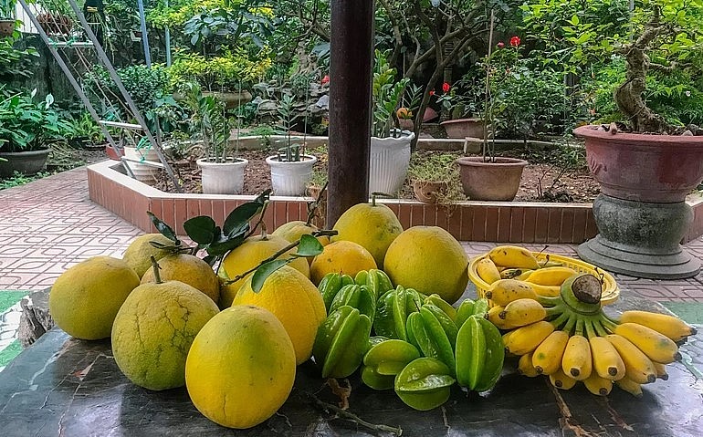 Bưởi, chuối, khế và xoài là bốn loại quả luôn có mặt trong các bữa ăn của gia đình ông Thuận.