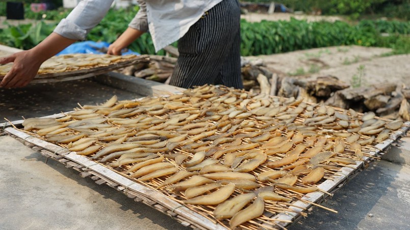 Khoai cắt thành từng lát mang ra phơi nắng Khoai cắt thành từng lát mang ra phơi nắng