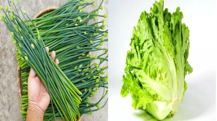 4 loại rau bổ hơn cả thịt bán đầy chợ nhưng không phải ai cũng biết cách chọn