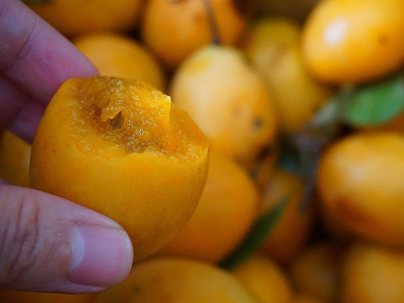 Bác sĩ khuyến cáo cần cẩn thận khi ăn thanh trà