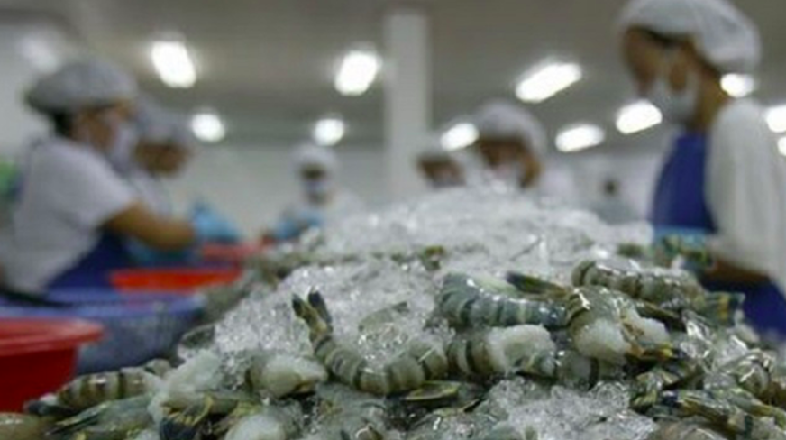 Xuất khẩu tôm Việt “vướng” hạn ngạch sang Hàn Quốc